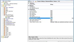 Custom Tables that extend the Datamodel