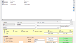 Customizing the Data Entry Form with Foundry