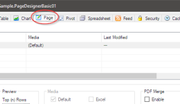 Page Designer – Query and Table