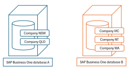 Setup with Multiple SAP Business One databases