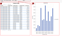 Prompt-linked multiple reports