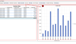 Slicer-Driven Reports with Dashboard Page
